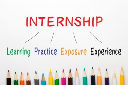 Online Internship